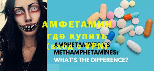 молекула духа Богородицк