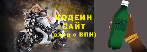 молекула духа Богородицк
