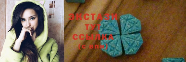 молекула духа Богородицк