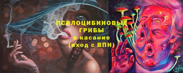 молекула духа Богородицк