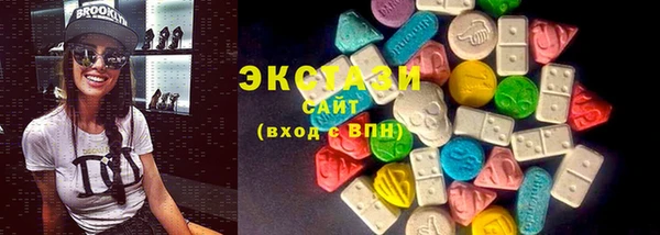молекула духа Богородицк