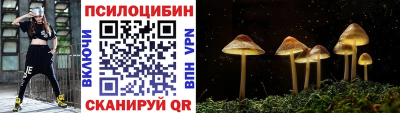 цены наркотик  Реж  мега ONION  Галлюциногенные грибы мицелий 